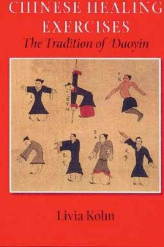 Chinese Healing Exercises av Livia Kohn
