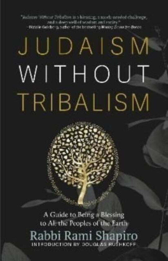 Judaism Without Tribalism av Rabbi Rami Shapiro