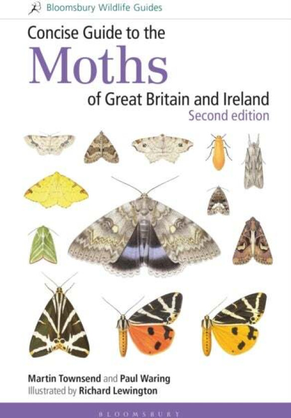 Concise Guide to the Moths of Great Britain and Ireland: Second edition av Martin Townsend, Dr Paul Waring