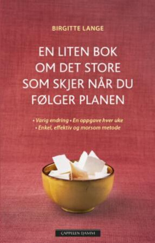 En liten bok om det store som skjer når du følger planen av Birgitte Lange