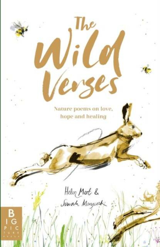 The Wild Verses av Helen Mort