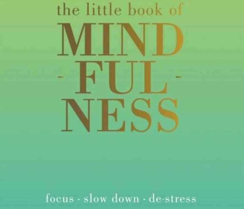 The Little Book of Mindfulness av Tiddy Rowan