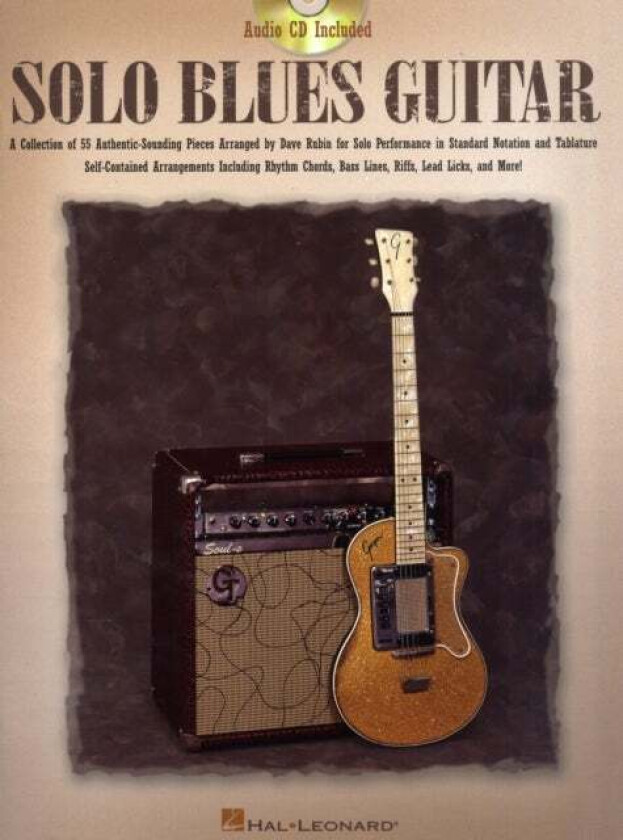 Solo Blues Guitar av Dave Rubin