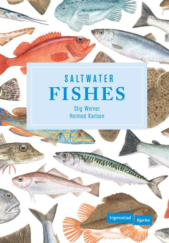 Saltwater fishes av Stig Werner