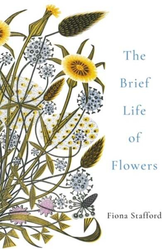 The Brief Life of Flowers av Fiona Stafford