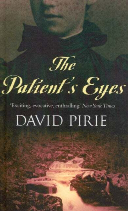 The Patient's Eyes av David Pirie