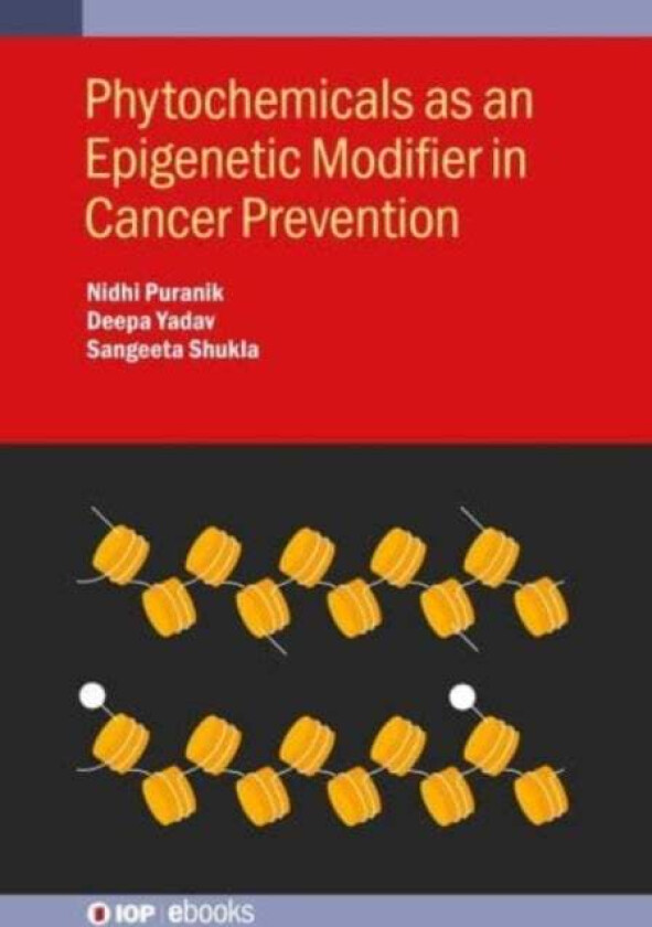 Phytochemicals as an Epigenetic Modifier in Cancer Prevention
