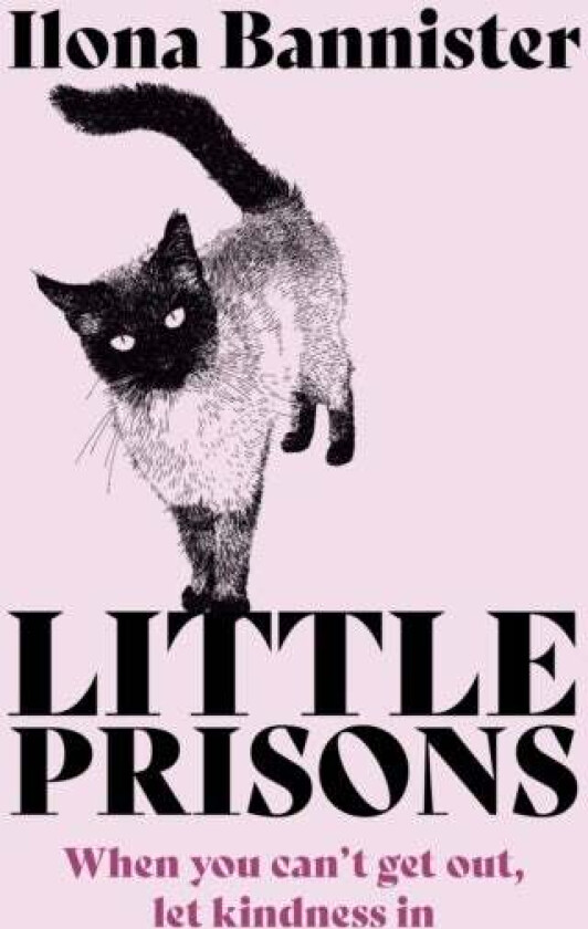 Little Prisons av Ilona Bannister