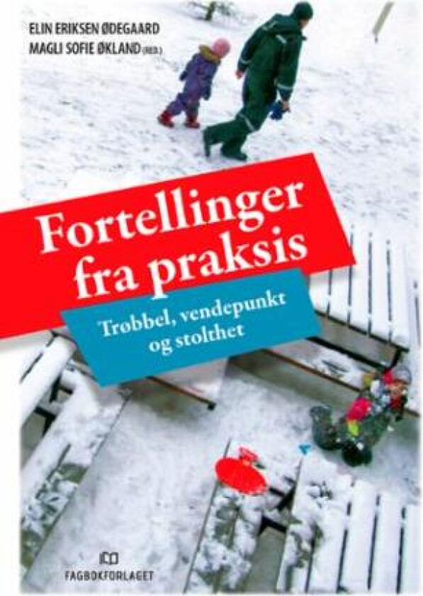 Fortellinger fra praksis