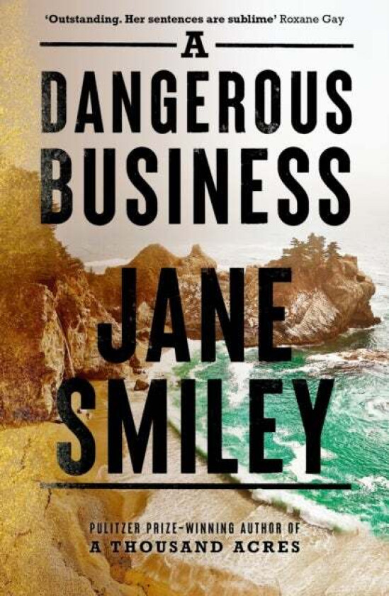 A Dangerous Business av Jane Smiley