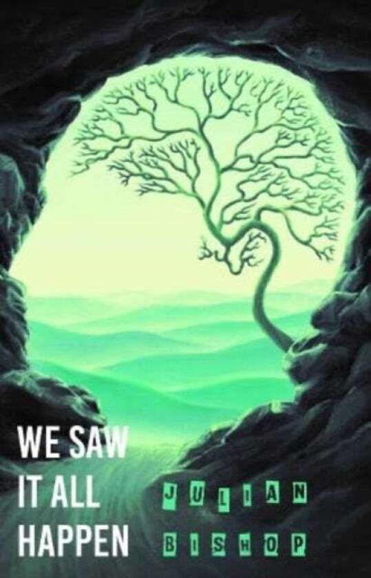 We Saw It All Happen av Julian Bishop