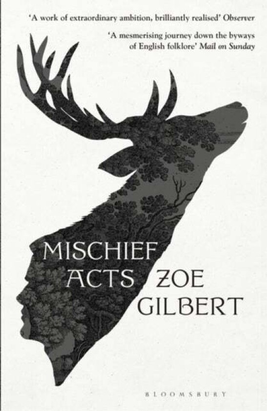 Mischief Acts av Zoe Gilbert