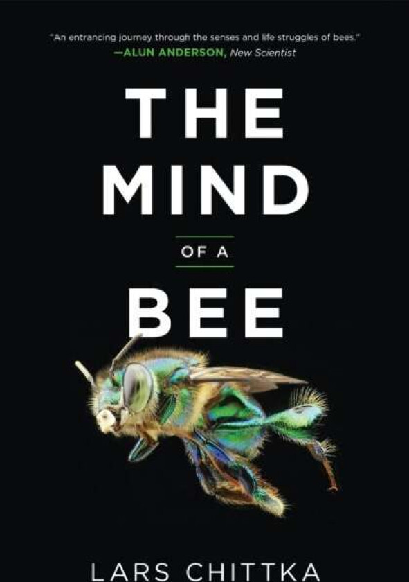 The Mind of a Bee av Lars Chittka