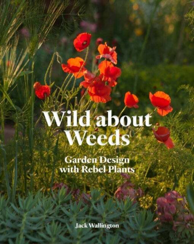Wild about Weeds av Jack Wallington