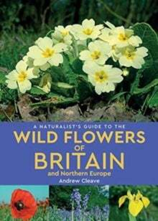 A Naturalist's Guide to the Wild Flowers of Britain and Northern Europe (2nd edition) av Andrew Cleave