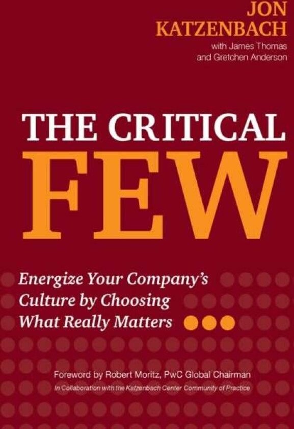 The Critical Few av Jon Katzenbach