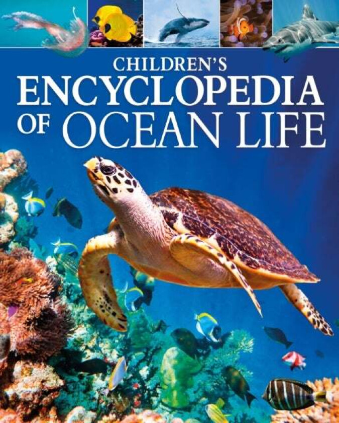 Children's Encyclopedia of Ocean Life av Claudia Martin