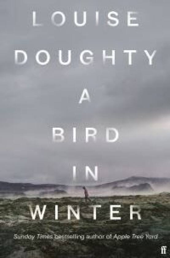 A Bird in Winter av Louise Doughty