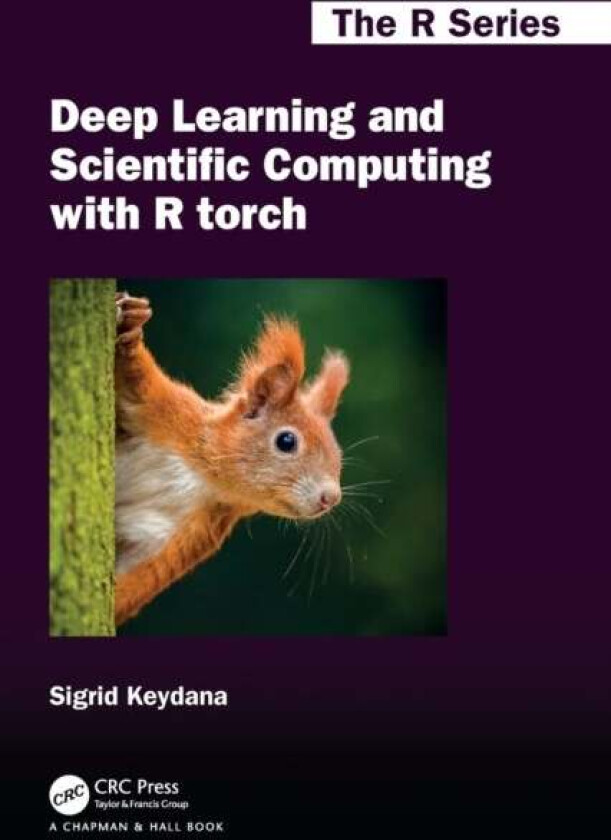 Deep Learning and Scientific Computing with R torch av Sigrid Keydana