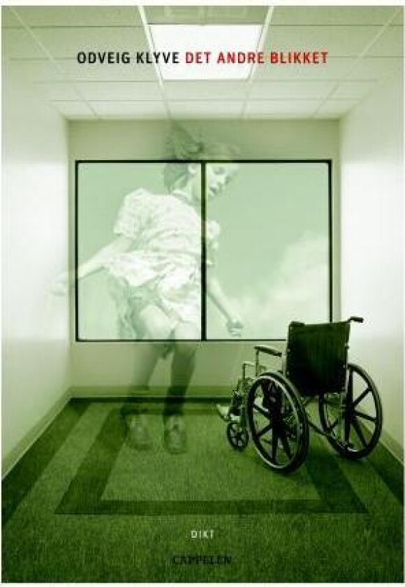 Det andre blikket av Odveig Klyve