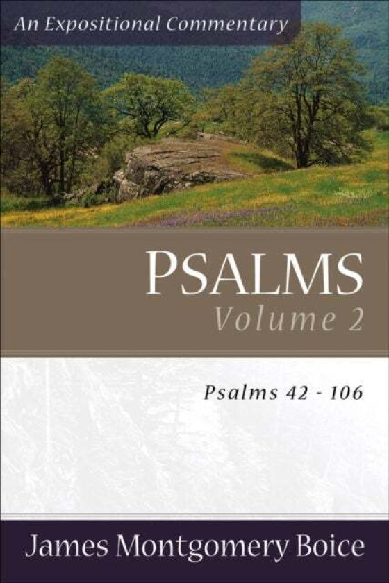 Psalms - Psalms 42-106 av James Montgomer Boice