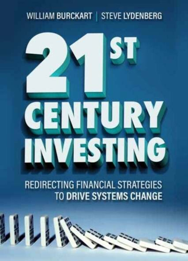 21st Century Investing av William Burckart, Steve Lydenberg