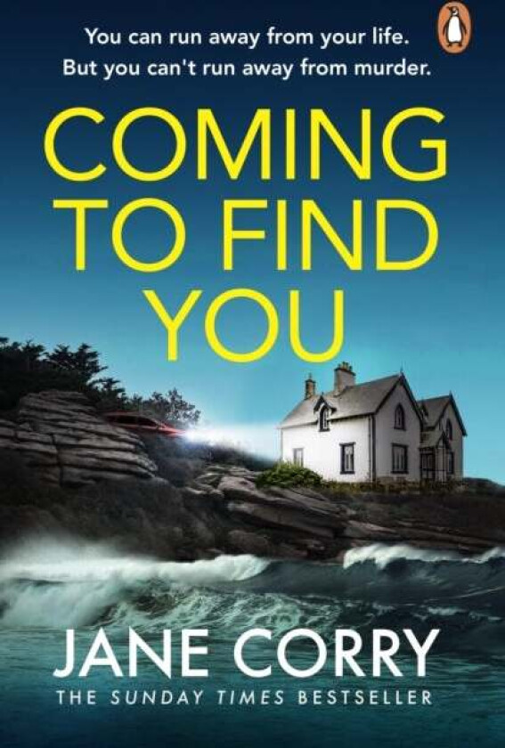 Coming To Find You av Jane Corry