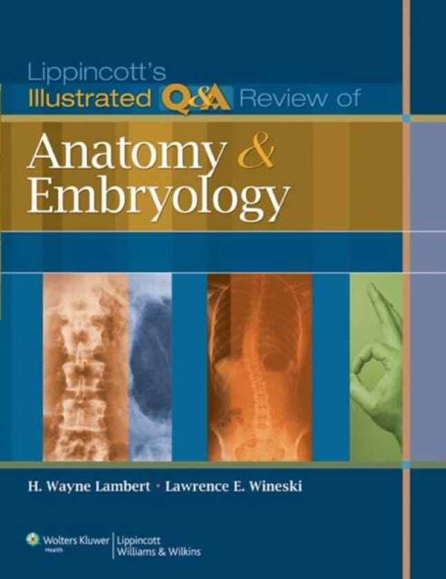 Lippincott's Illustrated Q&A Review of Anatomy and Embryology av H. Wayne PhD Lambert, Lawrence E. Wineski