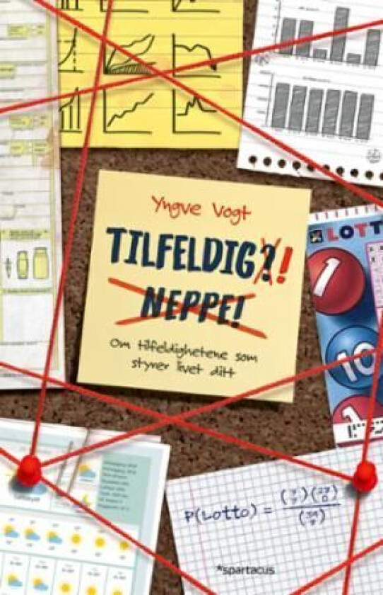 Tilfeldig! av Yngve Vogt