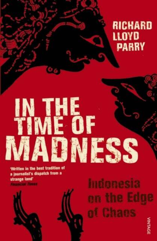 In The Time Of Madness av Richard Lloyd Parry