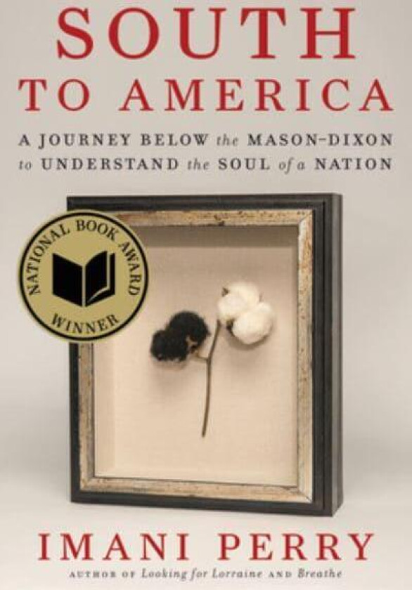 South to America av Imani Perry