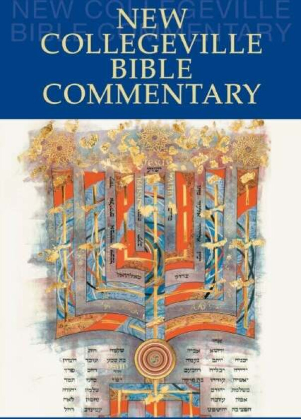 New Collegeville Bible Commentary av Daniel OSB Durken