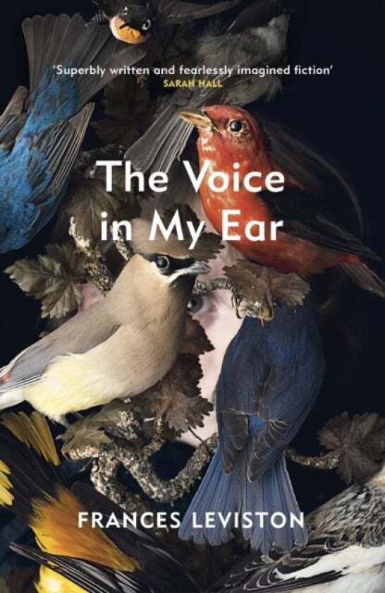 The Voice in My Ear av Frances Leviston