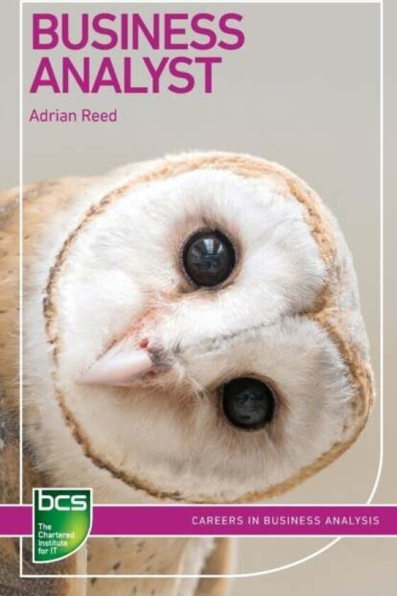 Business Analyst av Adrian Reed