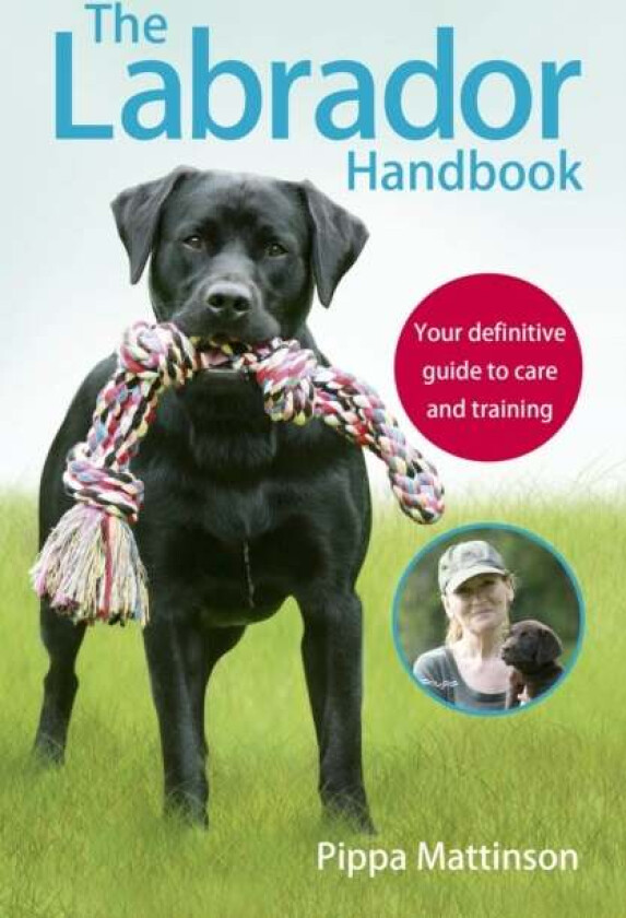 The Labrador Handbook av Pippa Mattinson