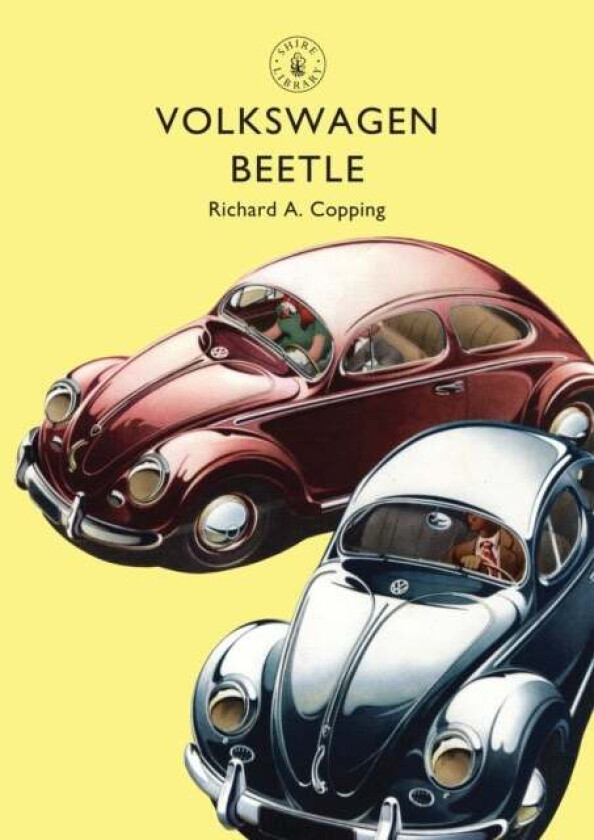 Volkswagen Beetle av Richard Copping