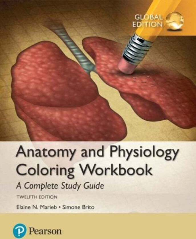 Anatomy and Physiology Coloring Workbook: A Complete Study Guide, Global Edition av Elaine Marieb, Simone Brito
