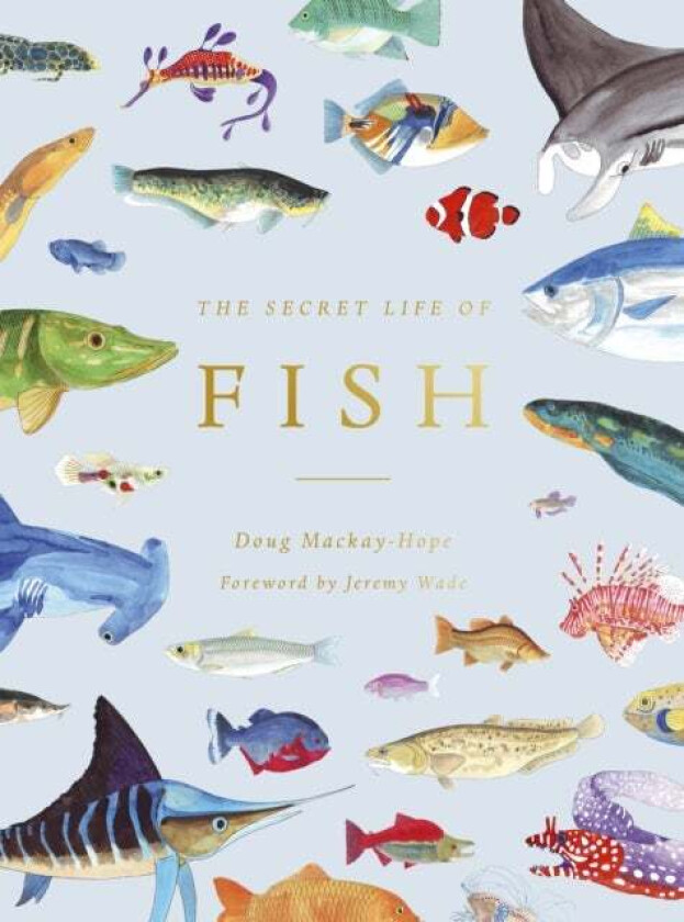 The Secret Life of Fish av Doug Mackay-Hope