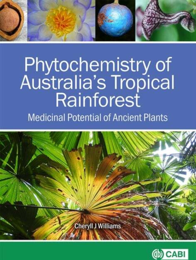Phytochemistry of Australia's Tropical Rainforest av Dr Cheryll J Williams