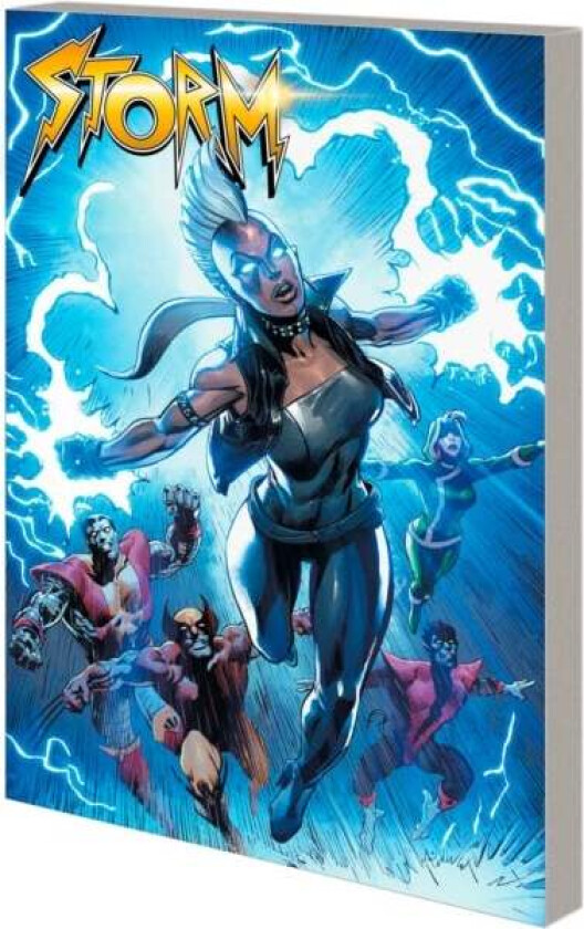 Storm: Blowback av Ann Nocenti
