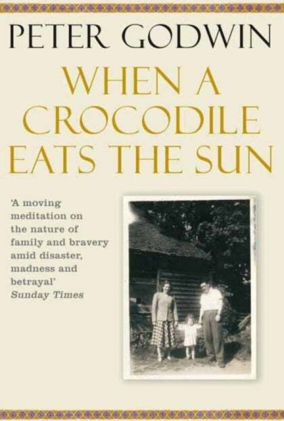 When A Crocodile Eats the Sun av Peter Godwin