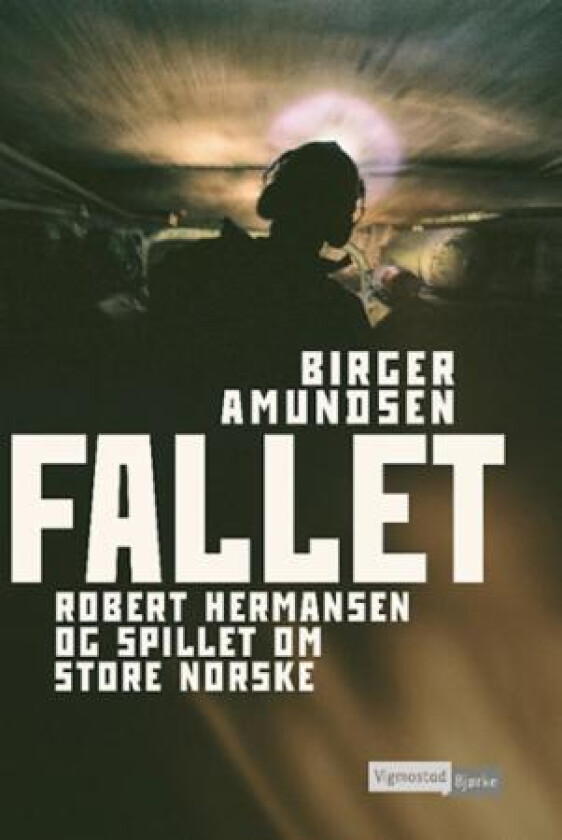 Fallet av Birger Amundsen