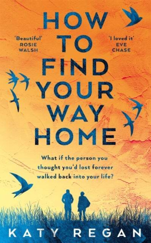 How To Find Your Way Home av Katy Regan