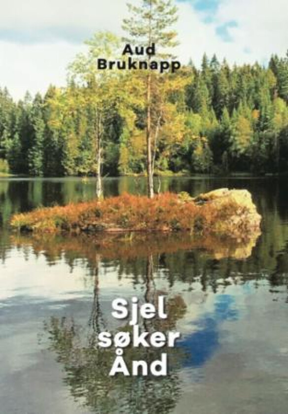 Sjel søker Ånd av Aud Bruknapp