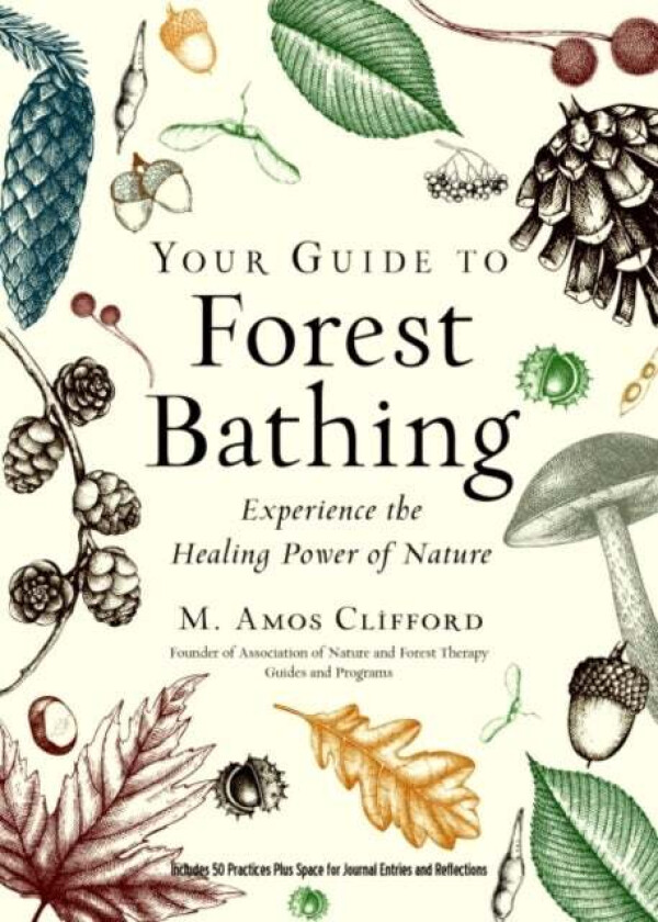 Your Guide to Forest Bathing (Expanded Edition) av M. Amos (M. Amos Clifford) Clifford