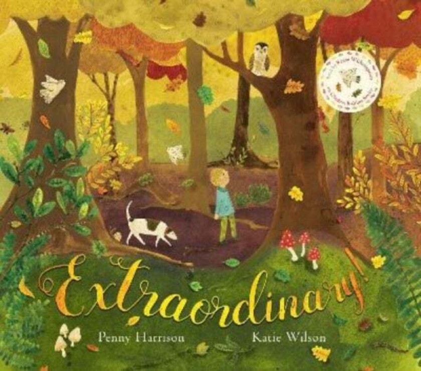 Extraordinary! av Penny Harrison