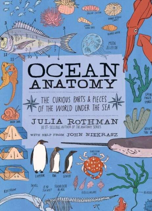 Ocean Anatomy av John Niekrasz, Julia Rothman