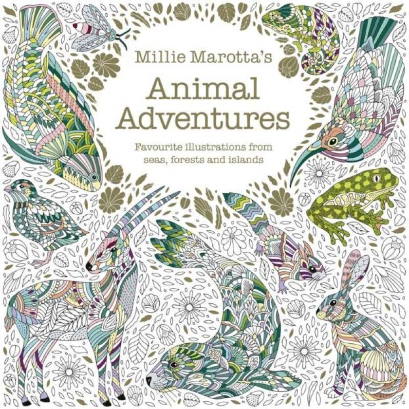 Millie Marotta's Animal Adventures av Millie Marotta