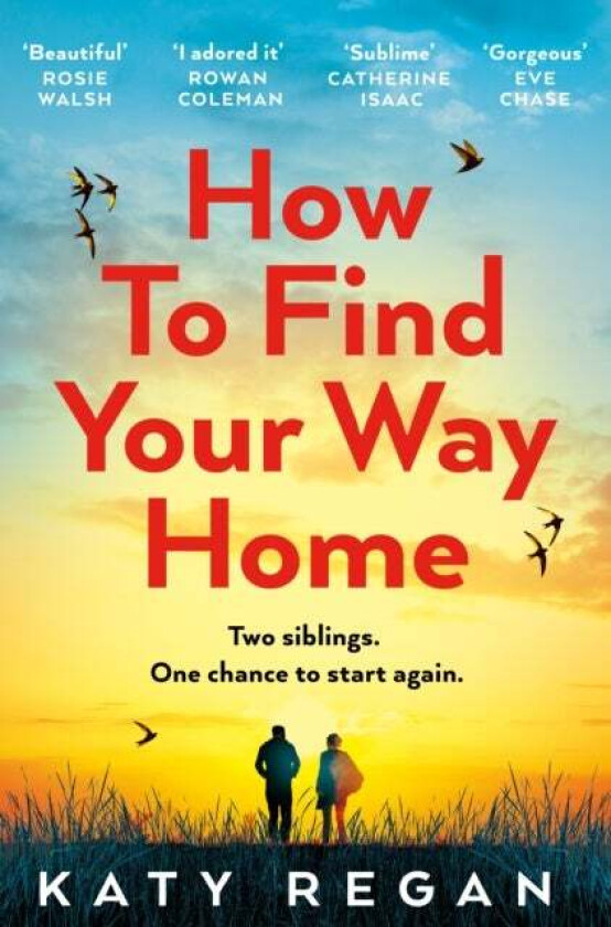 How To Find Your Way Home av Katy Regan