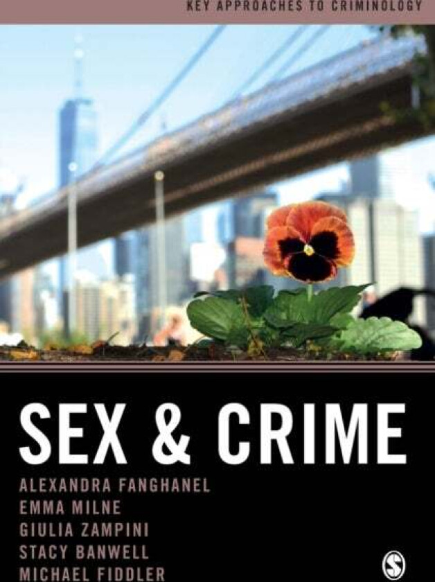 Sex and Crime av Alexandra Fanghanel, Emma Milne, Giulia Federica Zampini, Stacy Banwell, Michael Fiddler